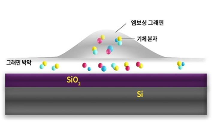 엠보싱 그래핀 형성 과정 모식도. (출처: IBS)