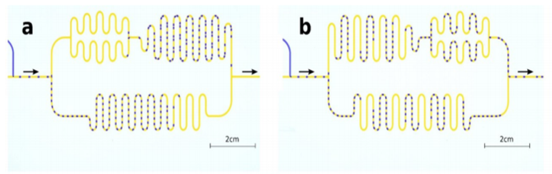 IBS 첨단연성물질 연구단의 연구결과, 두 갈래로 갈라지는 네트워크에 액체방울을 일정한 간격으로 흘려보냈더니 일정 시간이 지난 후 액체방울이 줄 지어 한쪽 방향으로만 흐르다가 어느 순간이 되면 방향을 바꿔 다른 쪽으로만 줄 지어 이동하는 주기운동(a)이 나타났다. 이를 뒤집어 실험(b)했더니 주기운동의 진폭이 줄어드는 것으로 관찰됐다. (출처: IBS)