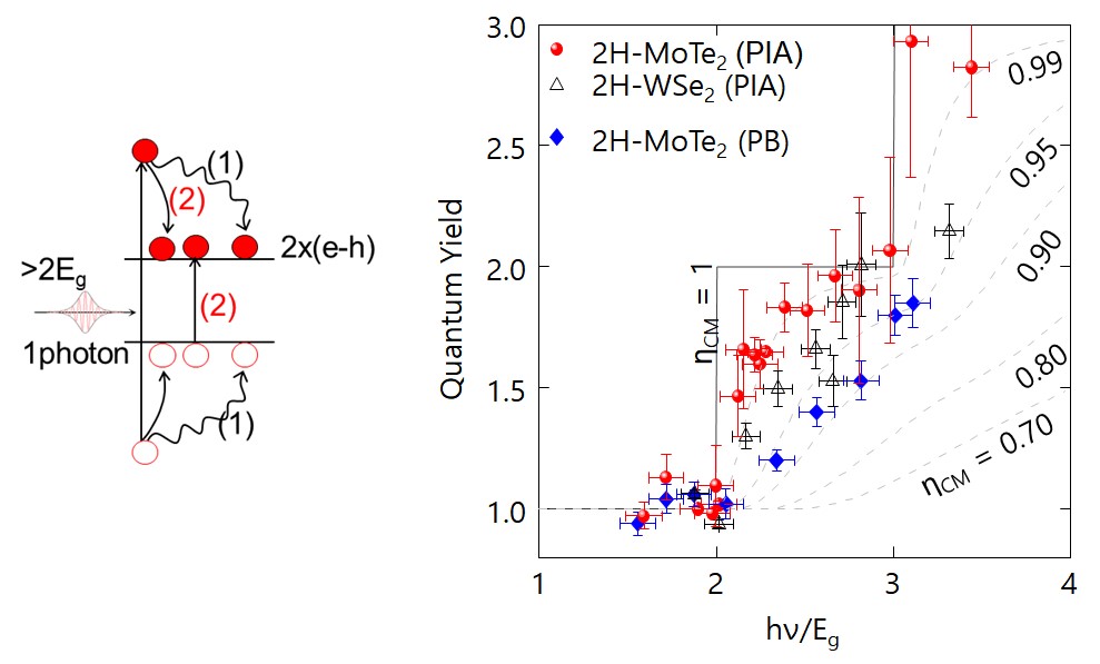 Figure 1. The schematic demonstrates the photogenerated carriers with carrier multiplication (CM). The discovery of the highest CM efficiency and the lowest CM threshold energy are displayed in the quantum yield data for 2H-MoTe2 and 2H-WSe2 thin films.