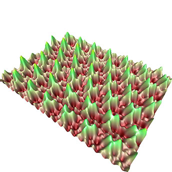 The Nanoscale Vegetable Garden (Subtitle : A Strange Co-existence of Radishes and Cabbages