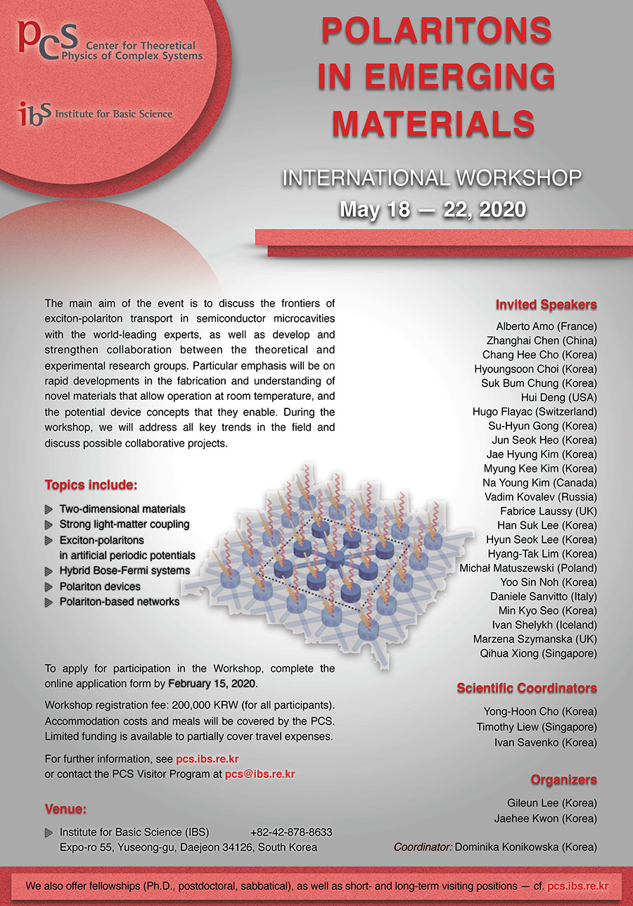 International Workshop Polaritons in Emerging Materials