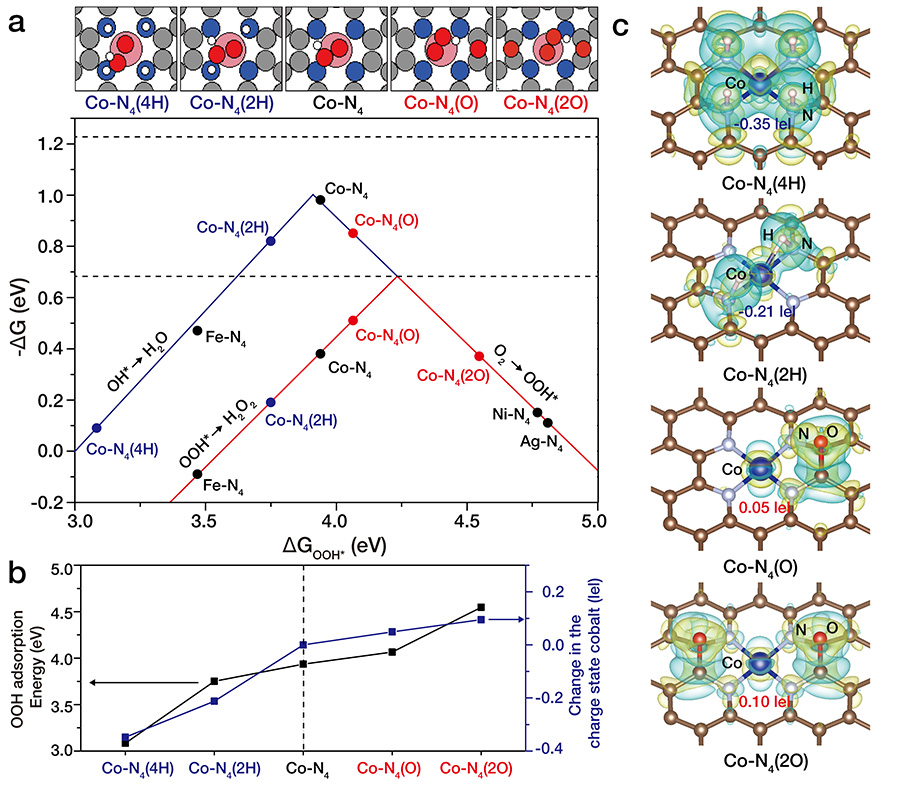 Figure 2. Atomic-level tuning of Co-N4/graphene catalyst. Cobalt atoms are coordinated with four nitrogen atoms forming square planar Co-N4 structure on nitrogen-doped graphene (Co-N4/graphene). Researchers could control the charge state of cobalt atoms by introducing electron-rich (for example, oxygen) or electron-poor (for example, hydrogen) atoms near the Co-N4 structure. Specifically, when electron-rich oxygen atoms were near Co-N4 (Co-N4(O)), the charge state of cobalt atoms slightly decreased becoming electron-poor cobalt which exhibited significant enhancement on electrochemical H2O2 production. Conversely, when electron-rich hydrogen atoms were near the Co-N4 structure, Co-N4 (2H), cobalt atom became electron-rich making it less favorable for H2O2 production.