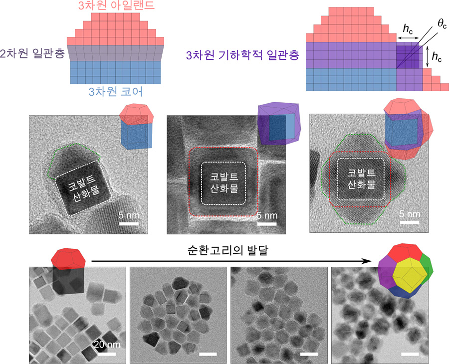 그림 5. 전통적인 2차원 에피택시 필름 형성을 3차원으로 확장