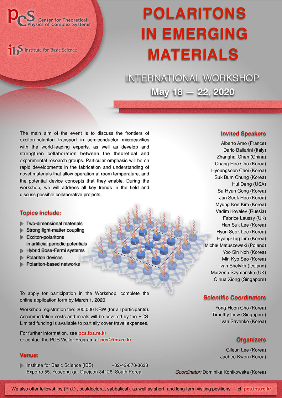 International Workshop Polaritons in Emerging Materials