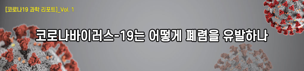 코로나19 과학리포트_코로나바이러스-19는 어떻게 폐렴을 유발하나