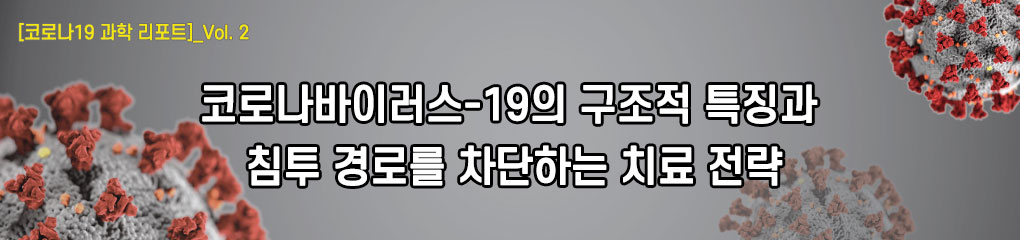 코로나19 과학리포트_코로나 바이러스-19의 구조적 특징과 침투 경로를 차단하는 치료 전략