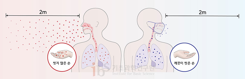 감염자에게 나온 ‘바이러스 함유 비말’은 공기 중으로 2m가량 전파되는 동시에 각종 물체의 표면에서 수일간 생존한다. 마스크를 착용하고 손을 깨끗이 씻는다면 감염자라 해도 사스코로나바이러스-2가 타인에게 전파될 확률은 현저히 줄어든다. 사회적 거리두기가 필요한 이유다.