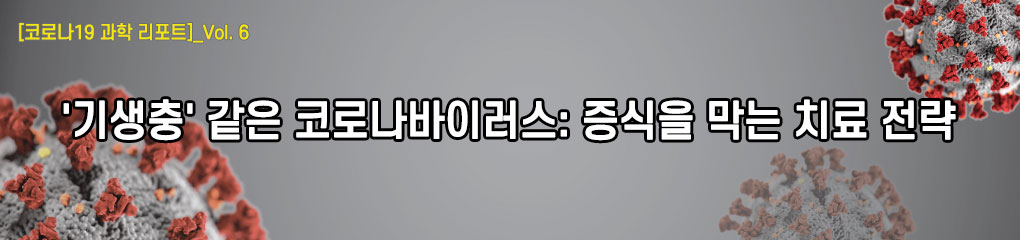 코로나19 과학리포트_vol6 '기생충' 같은 코로나바이러스: 증식을 막는 치료 전략