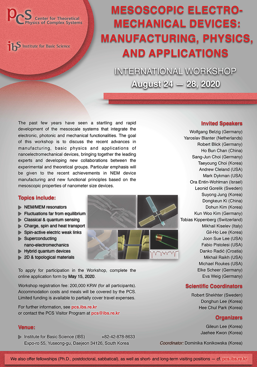 International Workshop “Mesoscopic Electromechanical Devices: Manufacturing, Physics, and Applications”