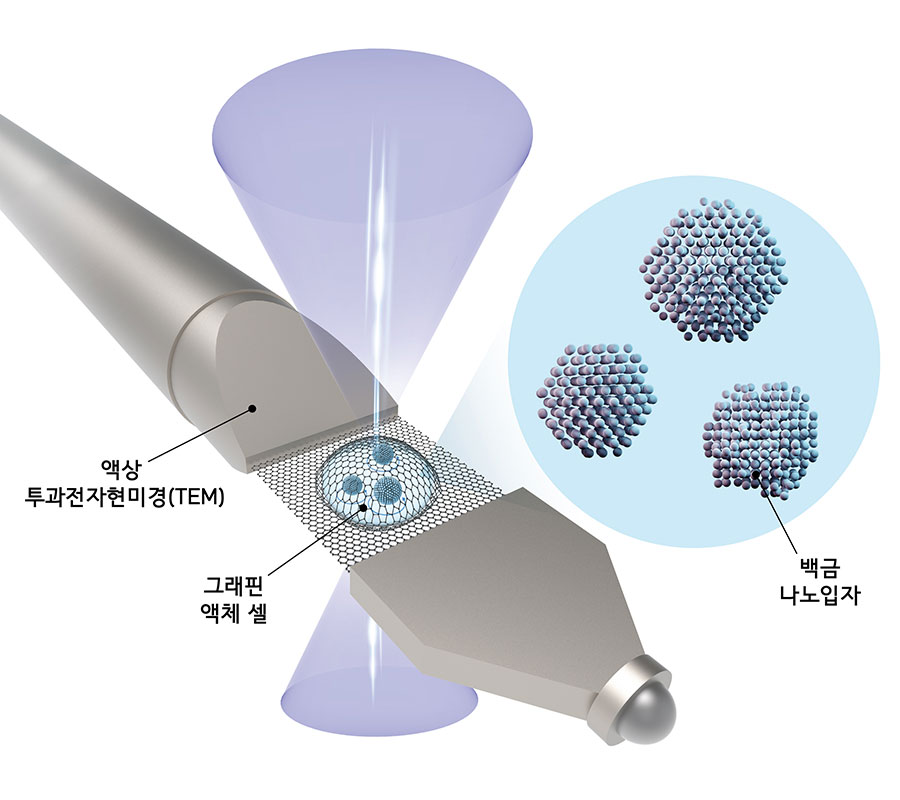 액상 투과전자현미경(Liquid Cell TEM)을 통한 개별 나노입자의 ‘3차원 증명사진’ 촬영 과정.