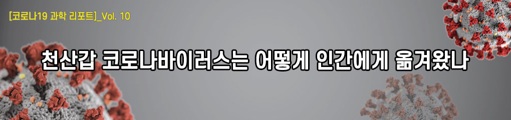 코로나19 과학리포트_vol10 천산갑 코로나바이러스는 어떻게 인간에게 옮겨왔나