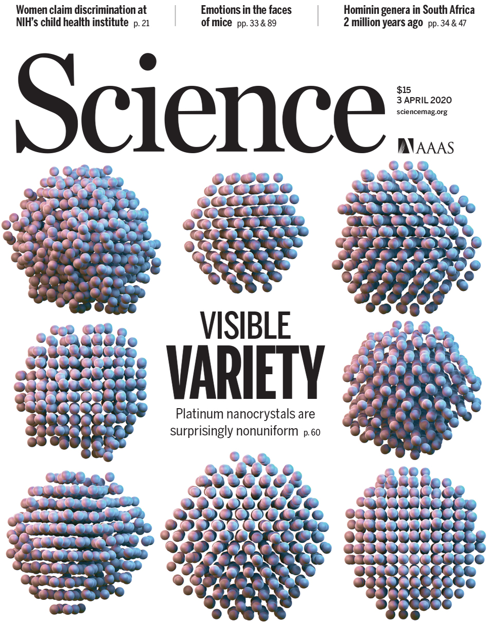 이번 연구가 실린 Science誌 표지. Science는 ‘눈으로 확인할 수 있게 된 다양성(Visible Variety)’이라는 문구와 함께 이번 연구를 소개했다. (출처: Science)