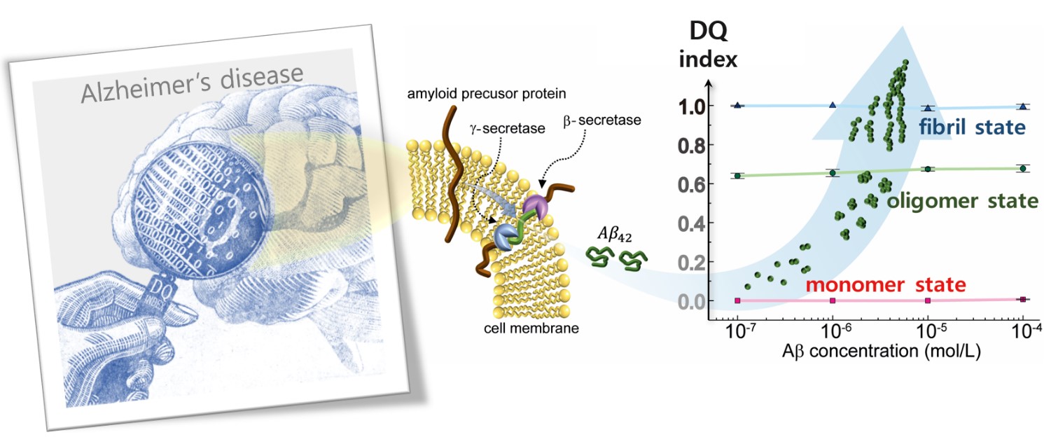 Figure 1. Schematics for identifying the dementia quotient (DQ) index. The monomer, oligomer and fibrillar forms of the Aβ protein are distinguished using THz near-field conductance measurements. Independently of the protein concentration, the DQ index goes from zero to one: nearly zero is a monomer state, a value of 0.64 indicates the presence of oligomers, and one corresponds to the more advanced fibril state.