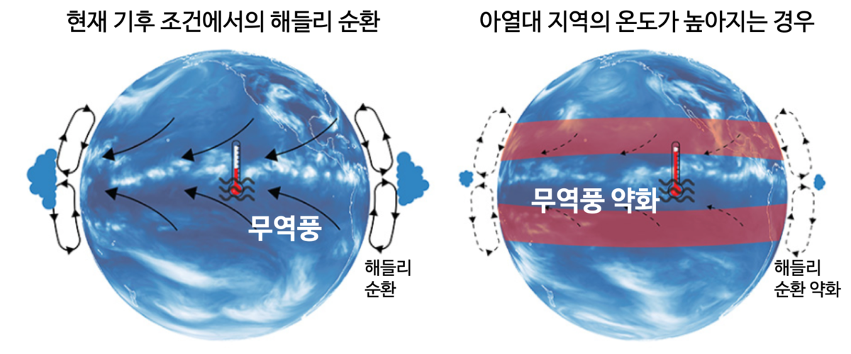 열대와 아열대 사이의 해들리 순환을 나타내는 모식도. (출처: IBS)