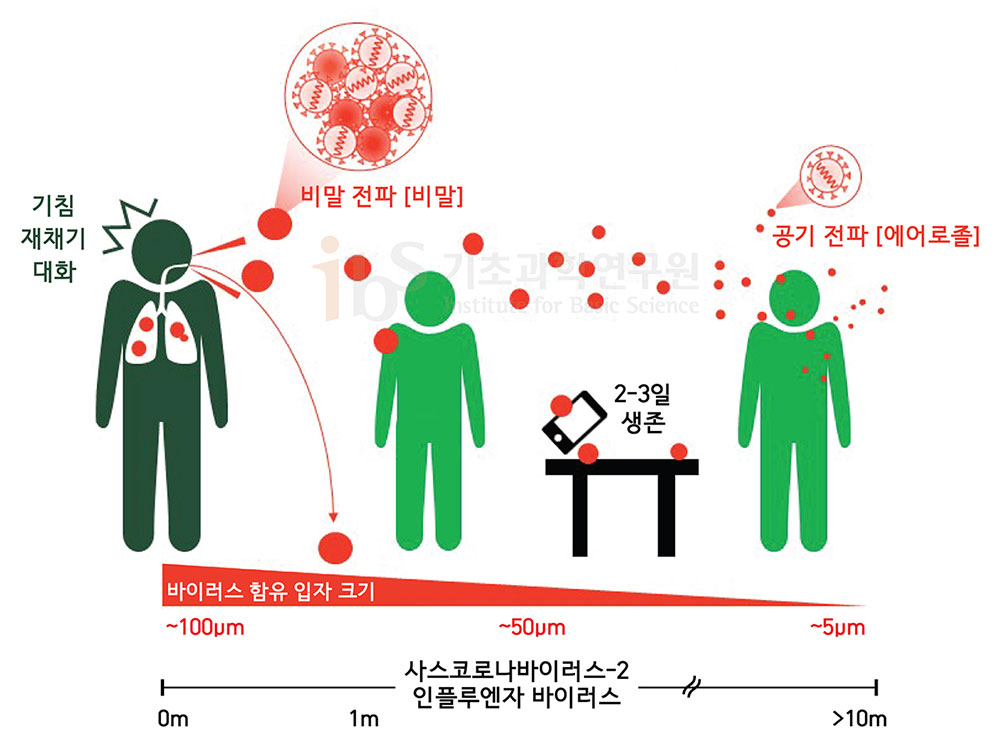 바이러스를 함유하는 입자는 크기에 따라 비말 혹은 에어로졸로 분류할 수 있다. 비말은 중력에 의해 2m 이내의 거리에 대부분 떨어지지만, 에어로졸은 상대적으로 더 멀리 이동한다. [그림: 김혜원]