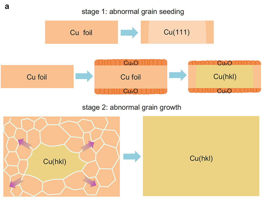 [그림 2] 고 밀러 지수를 갖는 대면적 단결정 구리 박막 형성 메커니즘