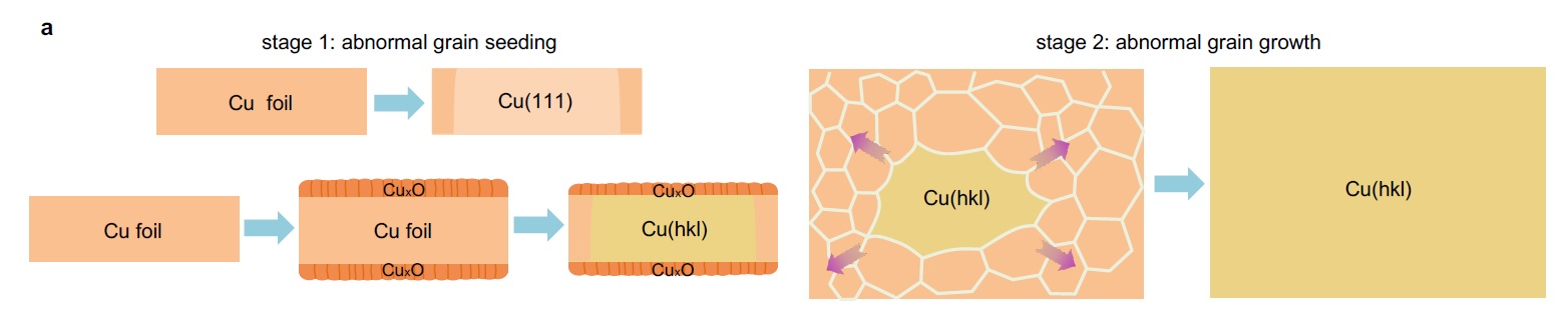 연구진은 다결정 구리 포일을 산화 시킨 뒤, 어닐링 과정을 거쳐 단결정 구리 박막을 제조했다(stage 1). 이후 단결정 구리를 원하는 패턴을 갖는 단면으로 절단해 구리 파편(시드)을 얻은 뒤 다결정 구리 박막에 부착했다. 구리의 녹는점에 가까운 고온에서 수 시간 동안 어닐링을 거치면, 파편 근처의 결정들이 재배열하며 구리 파편과 동일한 패턴을 갖는 대면적 단결정이 제조된다(stage 2).