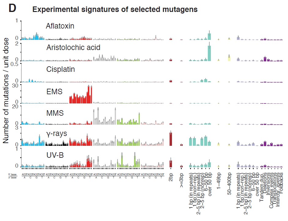 Figure 1 Exposure to various mutagenic agents causes distinct mutational profiles