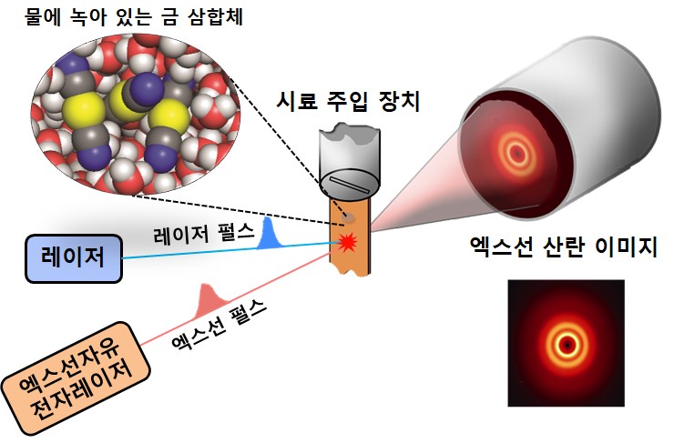 [그림 1] 펨토초 엑스선 회절법 실험 과정의 모식도