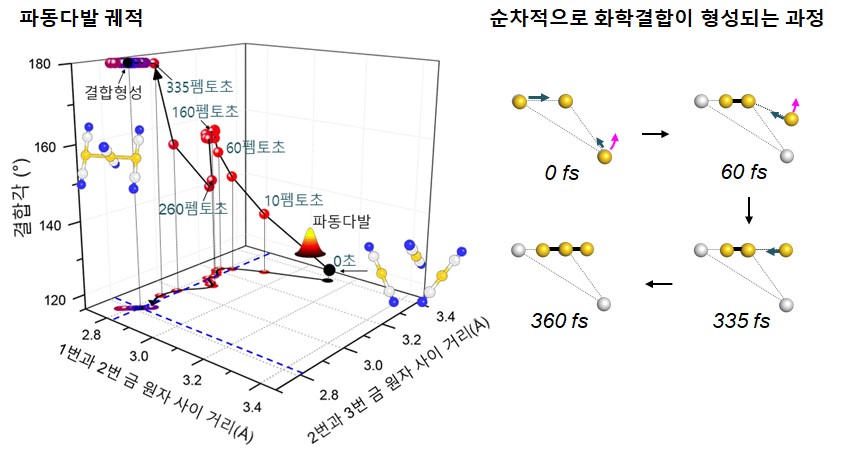 [그림 2] 펨토초 엑스선 회절법으로 관찰한 금 삼합체의 화학결합 메커니즘