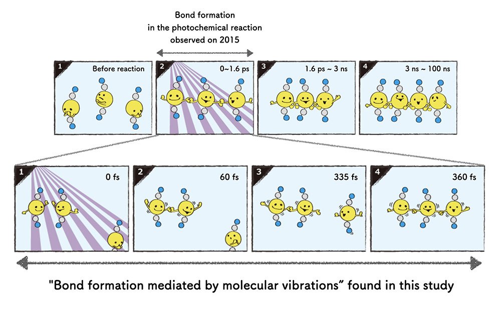 공동연구진은 2015년 연구(위)에서 화학결합을 통해 분자가 탄생한 순간 분자의 구조를 세계 최초로 관측했다. 이번 연구(아래)에서는 화학반응의 시작부터 끝까지 전 과정에서 원자의 움직임을 실시간 관찰했다. (일본 고에너지가속기연구소(KEK) 제공)