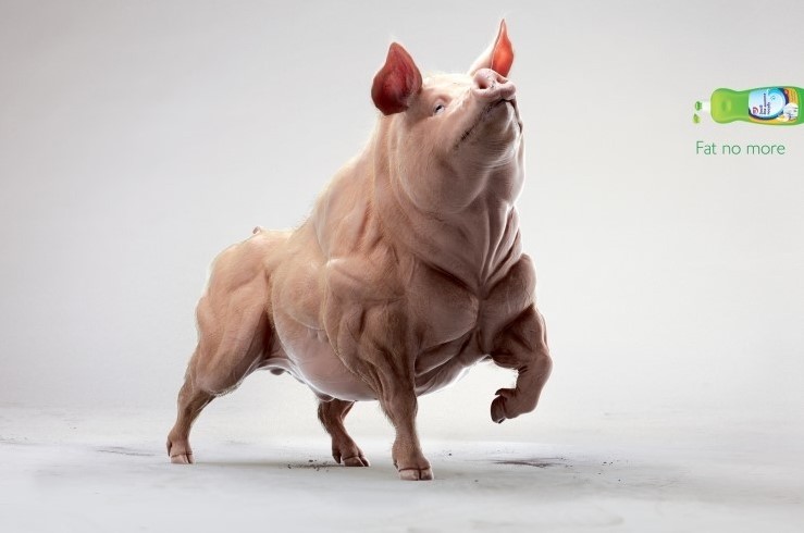 이렇게 건강한 돼지를 본 적이 있는가. 이 이미지는 주방세제 광고의 한 장면이다. 그릇의 기름기(지방)를  말끔히 제거해주는 세제의 위력을 효과적으로 표현하고 있다. (출처 : Geometry Global)