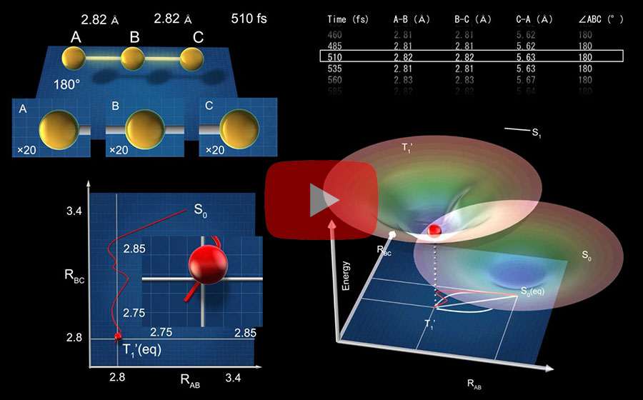 Watch the graceful move of C. elegans