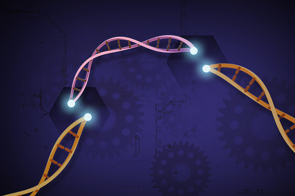 크리스퍼 유전자 가위는 생명공학 분야의 혁명으로 꼽힌다. 지금까지 다양한 유전자 가위가 개발됐지만, 각 도구의 장단점을 체계적으로 분석한 연구는 없었다.(출처: Flickr)