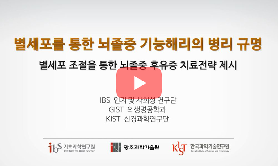 video_별세포를 통한 뇌졸중 기능해리의 병리 규명