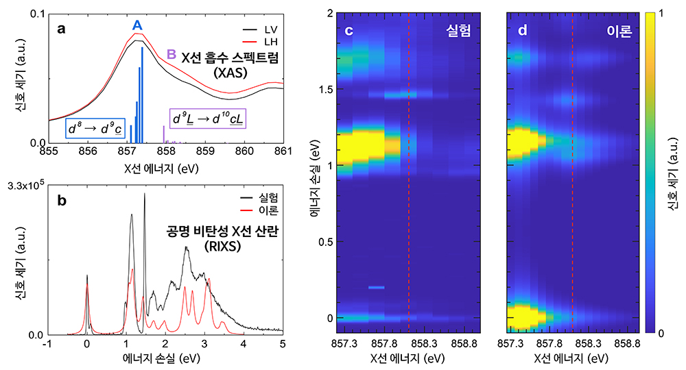 공명 비탄성 X선 산란 실험(왼쪽)과 이론적인 다체 계산을 비교한 그래프(오른쪽)