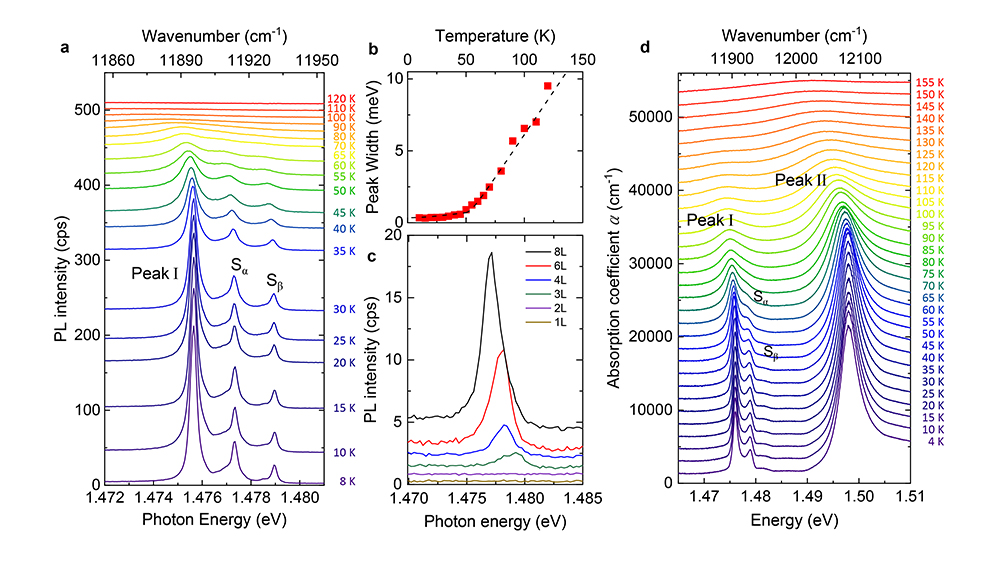 Fig. 2 Both PL and optical absorption data of NiPS3 with clearly resolved peaks near 1.5 eV.