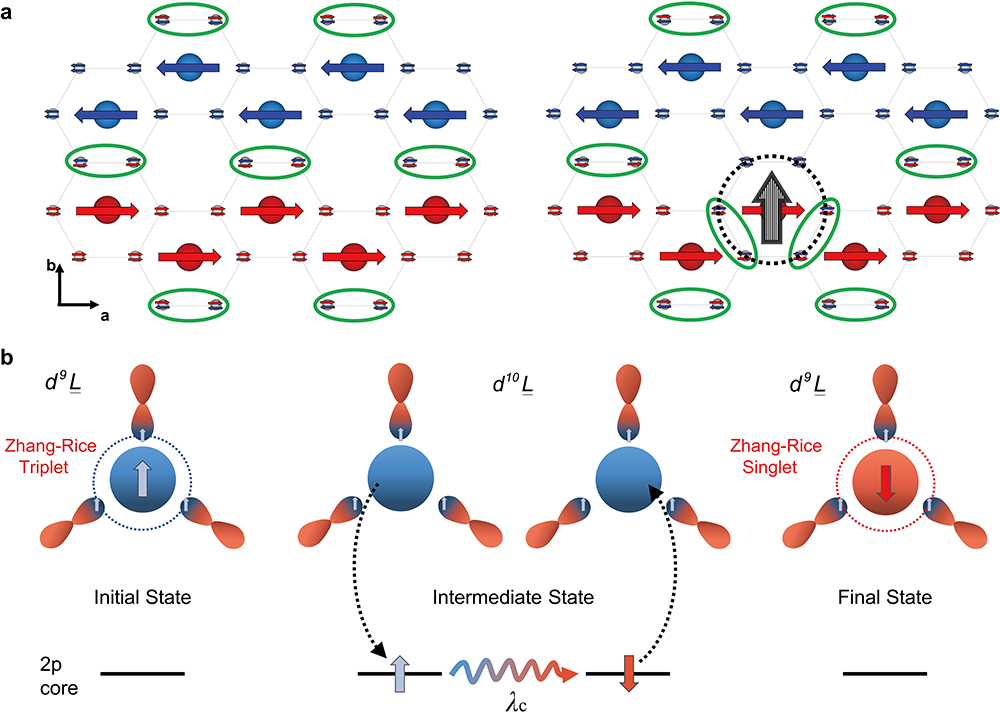 Figure 3-b. A schematic of the RIXS process for NiPS3