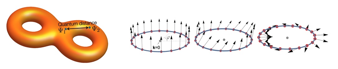 Figure 2 (Left) A cartoon representing the geometric structure of the Bloch states. The quantum distance measures the quantum mechanical distance between two Bloch wave functions. (Right) Bloch wave functions of the flat band can be represented by the pseudo-spin (arrows). The relative angle between two pseudo-spins corresponds to the quantum distance between the relevant Bloch states.