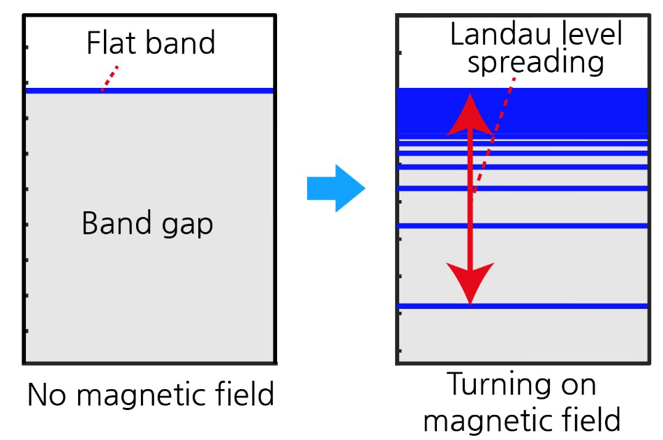 Figure 3 (Left) The energy spectrum of the flat band when magnetic field is absent. There is no available energy state within the band gap. (Right) The energy spectrum under magnetic field (the Landau levels) arising from the flat band. The Landau levels are spread into the gapped region and the width of the Landau level spreading is determined by the quantum distance of the Bloch states of the flat band.