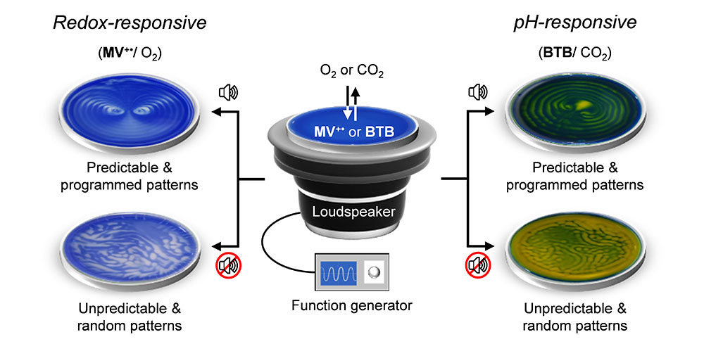 Sound-controlled spatiotemporal patterns. 