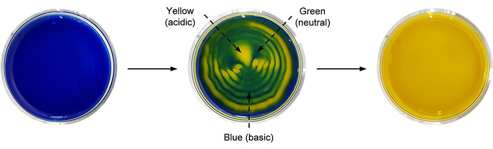 Sound-controlled pH-specific domains and spatiotemporal patterns.