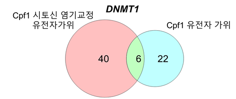 그림 3.  Cpf1 시토신 염기교정 유전자가위와 Cpf1 유전자 가위의 비표적 위치 비교