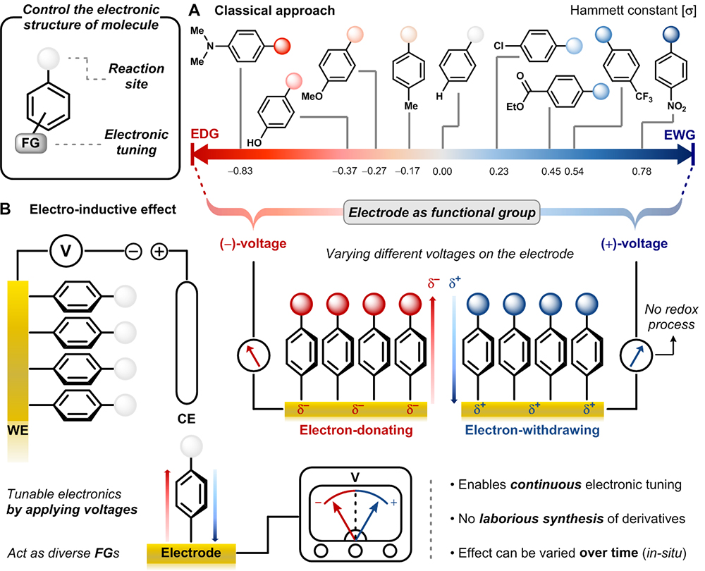 Figure 1-2. Overview of the research 