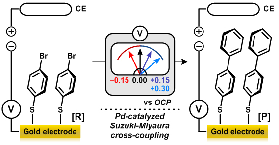 Figure 2-2. Pd-catalyzed Suzuki-Miyaura cross-coupling reaction