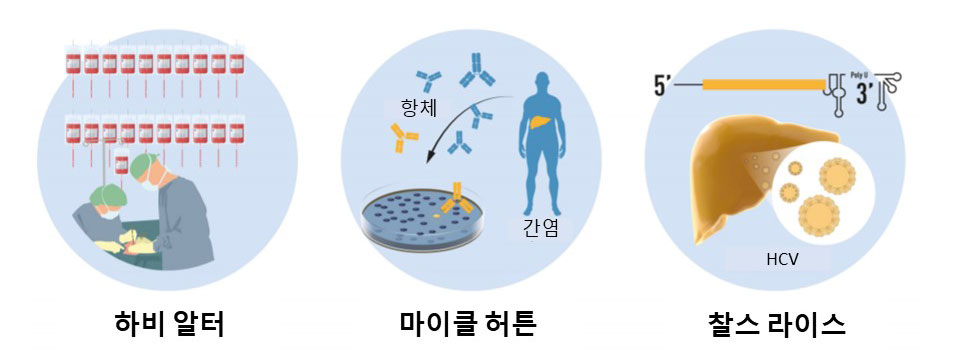 그림 2. 020년 노벨생리의학상 업적 요약. 하비 알터는 수혈과 연관된 간염을 체계적으로 연구하여 ‘미지의 바이러스’가 만성간염의 원인임을 증명하였다. 마이클 허튼은 검증되지 않았던 기법을 이용하여 새로운 바이러스의 유전체를 동정하고, 이를 C형간염 바이러스라 이름 붙였다. 찰스 라이스는 C형간염 바이러스만으로도 침팬지에서 간염을 유발할 수 있음을 입증하였다. 출처: 노벨 재단