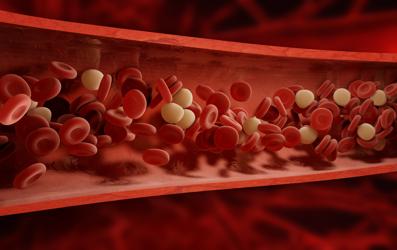 혈액세포는 체내 면역을 담당하는 백혈구와 산소를 공급하는 적혈구, 혈소판으로 이루어져 있다. (그림 출처 : GIB)
