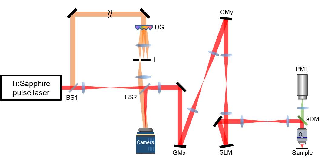 [Figure 1] Schematic of reflection-matrix microscopy