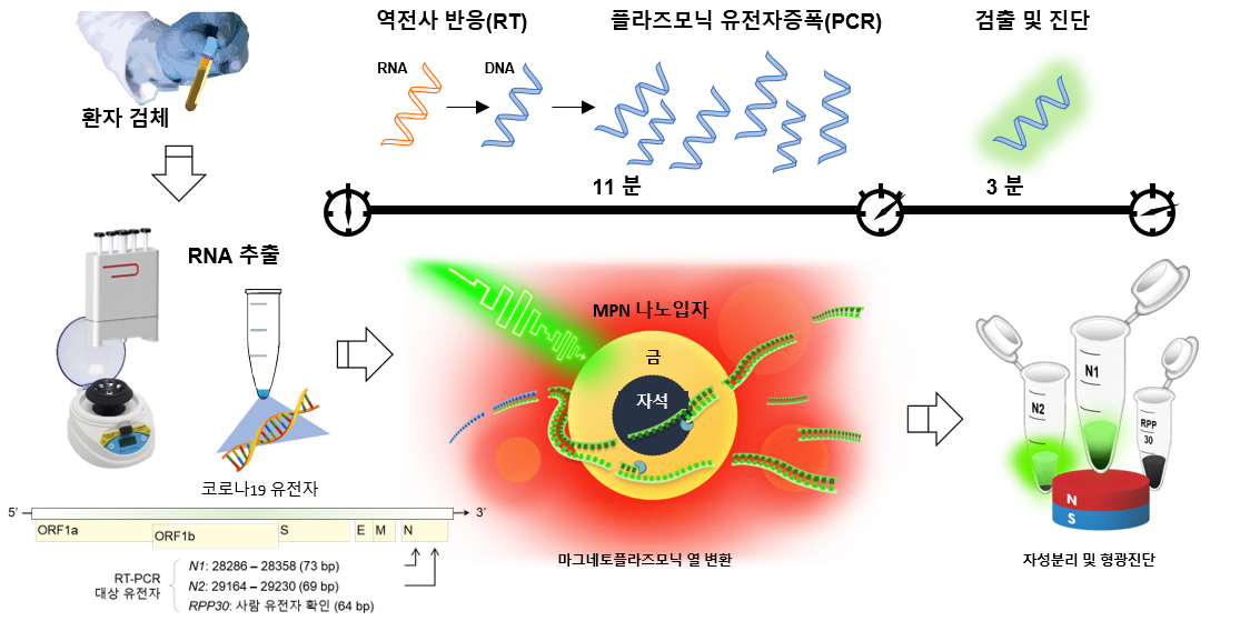 그림 1. nanoPCR 기술을 이용한 코로나 바이러스 진단 과정