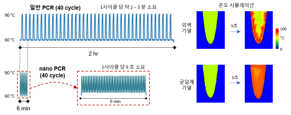 RT-PCR과 nanoPCR의 온도 변화 사이클 속도 비교