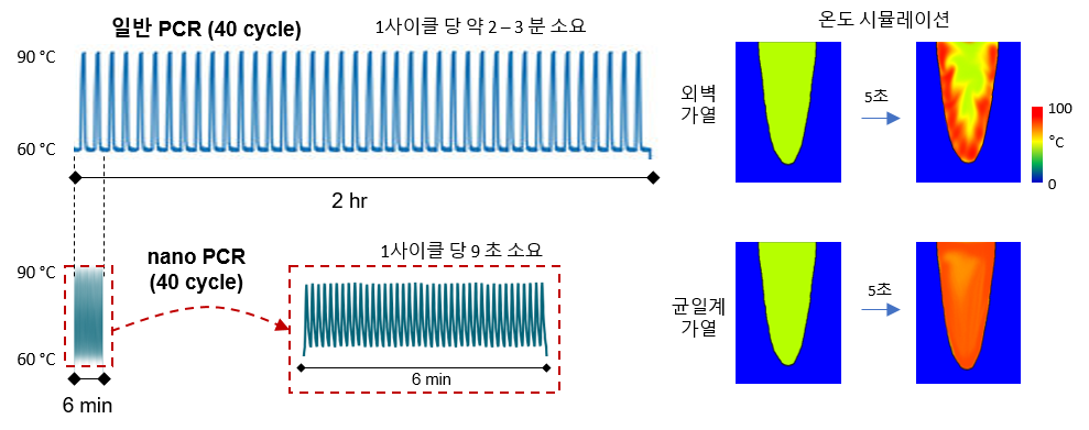 그림 4. 통상적 PCR과 nanoPCR의 PCR 수행시 온도 변화 사이클 속도 비교