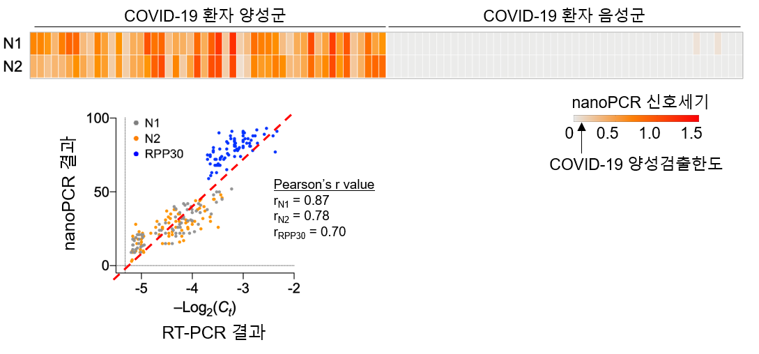 그림 8. 환자 시험을 통한 nanoPCR의 코로나19 진단성능 및 표준기술과의 비교