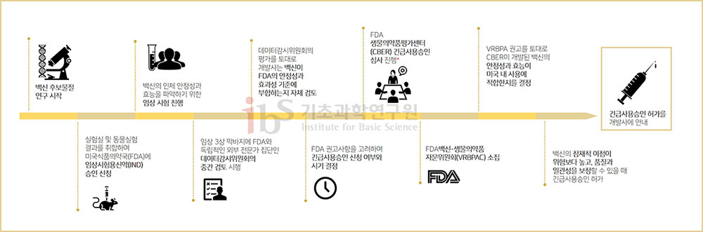 코로나19 백신이 개발되어 긴급 사용승인을 받기까지의 과정 - 백신 후보물질 연구 시작
                실험실 및 동물실험 결과를 취합하여 미국식품의약국(FDA)에 임상시험용신약(IND) 승인 신청
                백신의 인체 안정성과 효능을 파악하기 위한 임상 시험 진행
                임상 3상 막바지에 FDA와 독립적인 외부 전문가 집단인 데이터감시위원회의 중간 검토 시행
                데이터감시위원회의 평가를 토대로 개발사는 백신이 FDA의 안정성과 효과성 기준에 부합하는지 자체 검토
                FDA 권고사항을 고려하여 긴급사용승인 신청 여부와 시기 결정
                FDA 생물의약품평가센터 (CBER) 긴급사용승인 심사 진행
                FDA백신·생물의약품자문위원회(VRBPAC) 소집
                VRBPA 권고를 토대로 CBER이 개발된 백신의 안정성과 효능이 미국 내 사용에 적합한지를 결정
                백신의 잠재적 이점이 위험보다 높고, 품질과 일관성을 보장할 수 있을 때 긴급사용승인 허가
                긴급사용승인 허가를 개발사에 안내