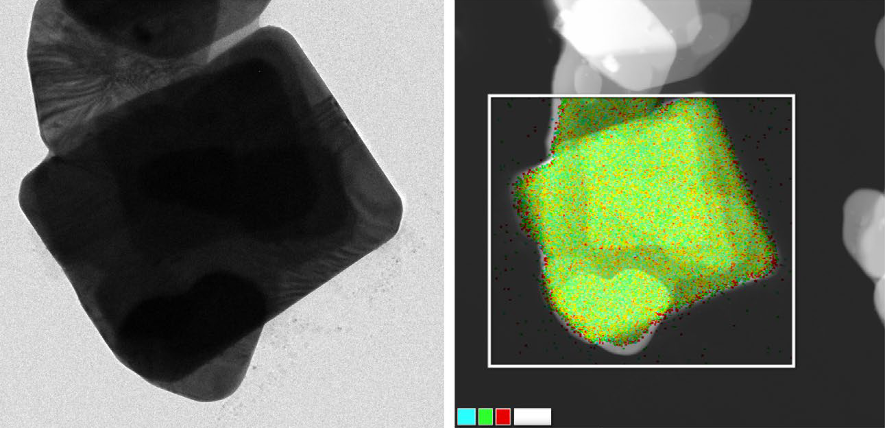 연구진이 합성한 ‘세상에서 가장 작은 반도체’의 현미경 이미지(출처: Nature Materials)