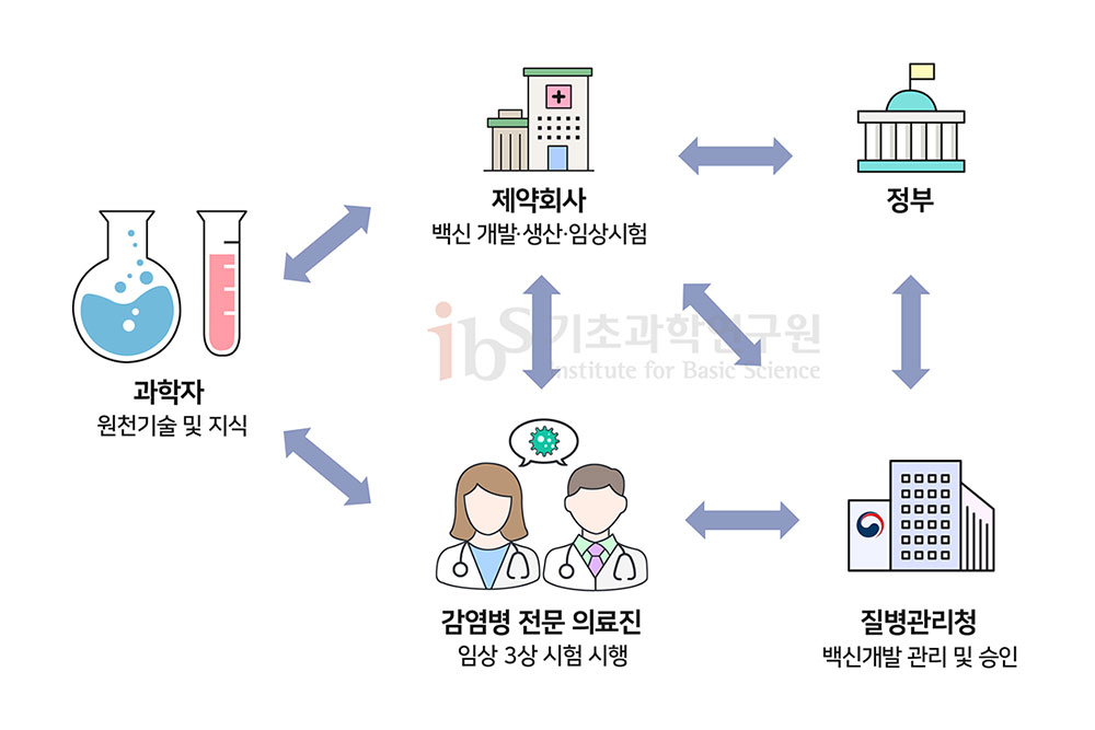 과학자(원천기술 및 지식),감염병 전문 의료진(임상 3상 시험 시행),질병관리청(백신개발 관리 및 승인), 정부, 제약회사(백신개발·생산·임상시험) 관계자들이 서로서로 연결되어 백신개발에 힘쓰고있다.