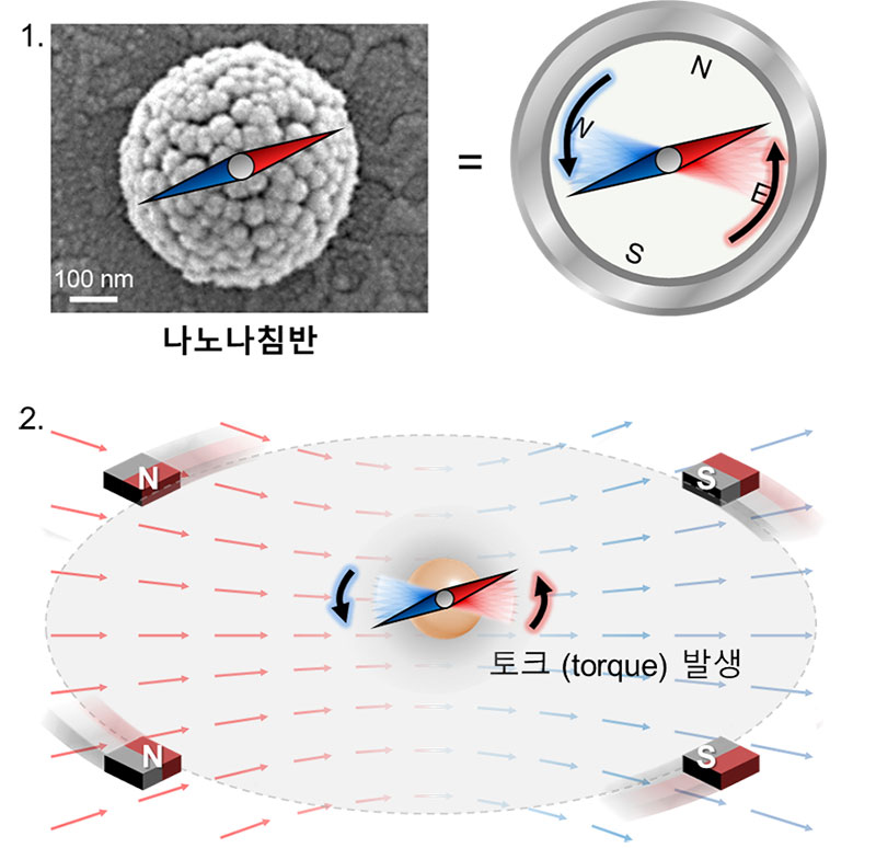 그림 2. 나노나침반과 토크 힘 발생 장치